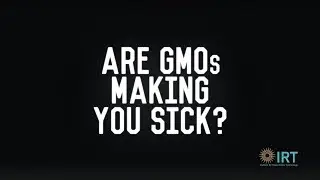 Are GMOs Making You Sick?