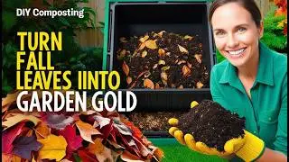 DIY Composting: How to Turn Fall Leaves into Garden Gold 🌿