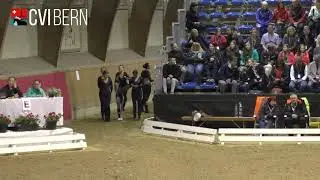 CVI Bern 2019 - Squad Senior CVI3* Freestyle - 2nd Round