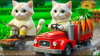 Mama Cat Trims Fur on the Farm and Makes Tiger Hat For Kittens At Home🐾🎩🐯