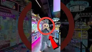 अपने लिए कौन सा Teddy Bear लोगे 🤔 #shorts #viral #trending