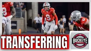 Ohio State Safety Latest Buckeye Entering Portal