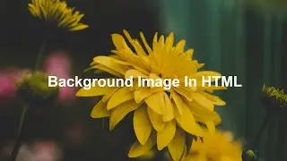 How To Add Background Image In HTML and  CSS | HTML & CSS For Beginners