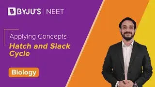 Applying Concepts: Hatch and Slack Cycle | Biology | NEET