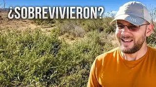 Construimos 36 represas... ¡y luego llegó la lluvia!