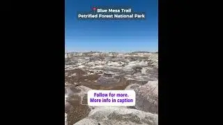 Walking Into Deep Time | Blue Mesa Trail @ Petrified Forest National Park