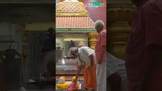 🪔 Deepam Trust Velachery Nithya Deepa Dharmachalai #வள்ளலார்