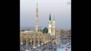 حضرة الزم الباب ان عشقت {المنشد سامر نشار} @نسيمالقلوب-ر8ك