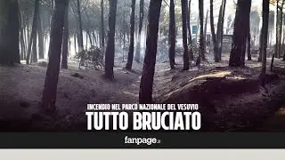 Incendio Vesuvio, restano solo cenere e silenzio: 