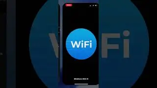 WiFi Tools: DNS lookup on iPhone/iPad