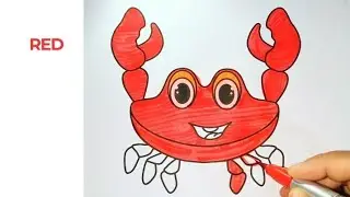 Crab colouring - animal sketch pen colouring