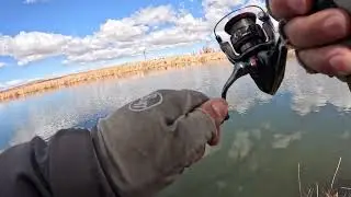 Fin & Feather Lightning Trout Catches