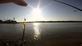 Snake vs Mikado Fishunter