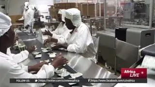 Uganda researchers develop new malaria drug from herbal extracts