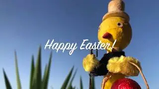 Happy Easter with Bunny and Funny