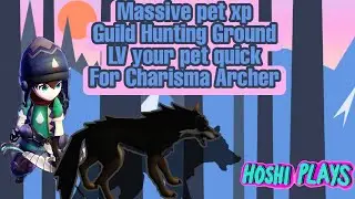 Moonlight Sculptor: Level your pet quick- Charisma Archer pet leveling