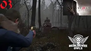 Rough play in the playground - Stray Souls 03 - Graveyard level
