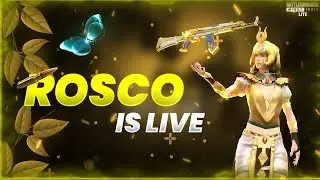BGMI FULL RUSH GAMEPLAY NO RANK PUSH #gaming #bgmi #livestream #bgmilive #ROSCOISLIVE