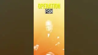 Top Secret Operation - Fish !