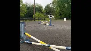 Petra Wiesner riding video