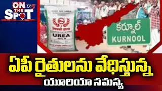 యూరియా ఎక్కడయ్యా ? AP Farmers Facing Urea Shortage Problem | AP Govt Gives Assurance | TV5 News