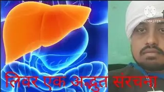 लिवर एक  रहस्यमय संरचना ।#liver is unique structure.