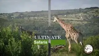 Safari Golf Tours - South Africa