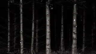 truthless