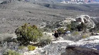 White Rock Springs Peak