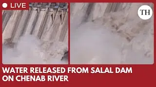 Water released from Salal dam in Jammu and Kashmir after heavy rainfall