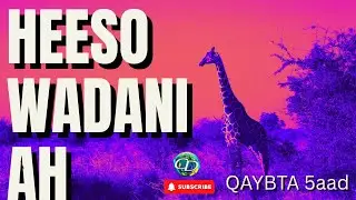 Heeso Wadani ah | Qaybta 5aad