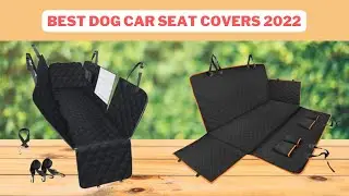 Best Dog Car Seat Covers | Dog Car Seat Covers Reviews 2022