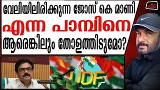 ജോസ് കെ മണി UDFൽ വന്നാൽ മുന്നണി നശിക്കും | TP Nandakumar against Jose K Mani