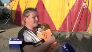 В Черкесск приехал цирк