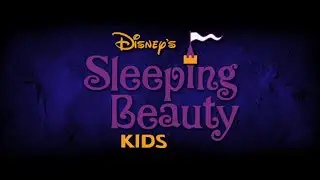 Sleeping Beauty Cast B  2016