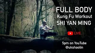 Full body Kung Fu workout at home