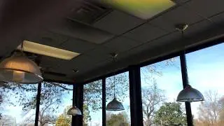(FTA 2017) Hunter Custom Home Ceiling Fans