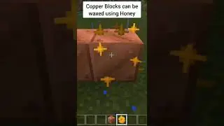 Minecraft 1.17 Facts