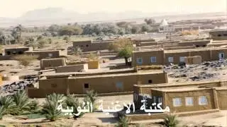 نايف شلبي عديله