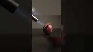 ASMR Satisfying Plum Burning With Unexpected Surprises!