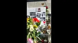 Isla Vista shooting: flower memorial & the wall of thoughts