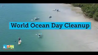 PBC Parks Celebrates World Ocean Day 2022