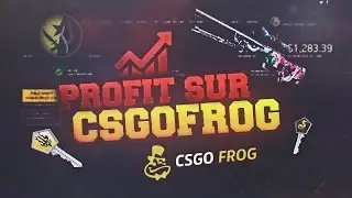 JE FAIS DU PROFIT SUR CSGOFROG !