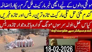 Today Wheat price in punjab//گندم کا ریٹ2026/munji makki till sarso/Galla mandi rate today 2026