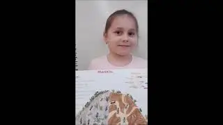 Spoločenstvo mravcov a včiel