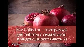 Key Collector &ndash; программа  для работы с семантикой  в Яндекс.Директ (часть 2)