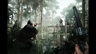 Ambush Redux
