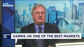 Hong Kong is a bright spot amid diversification from US: Expert