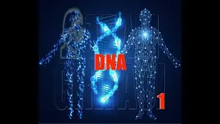 345-PL Ewelina, 166. cykl badawczy, protok&oacute;ł nr 1: DNA - Agnieszka Abraham CG Network