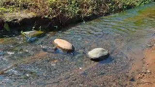 Tranquil Pristine Mountain River Sounds for Deep Sleep, Stress Relief, Meditation, and Relaxation